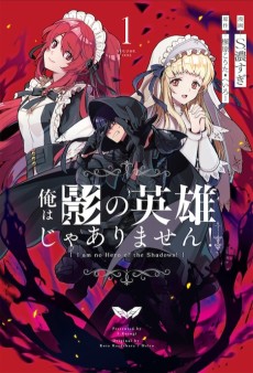俺は影の英雄じゃありません！