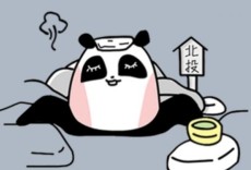 三隻熊の小日子