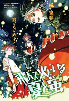 飛んで火にいる夏と蛍