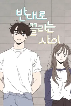 반대로 끌리는 사이