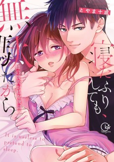 寝たふりしても、無駄だから~姉の彼氏が私を夜這う