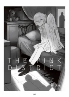 THE PINK DISTRICT