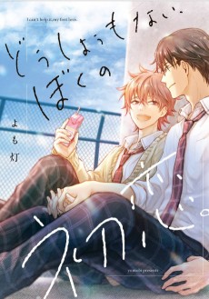 どうしようもない、ぼくの初恋。