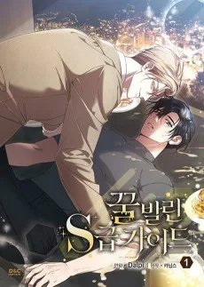 꿀 발린 S급 가이드