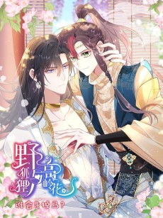 野狐狸与高岭花谁会先掉马？ 