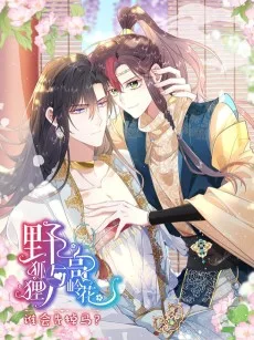 野狐狸与高岭花谁会先掉马？ 