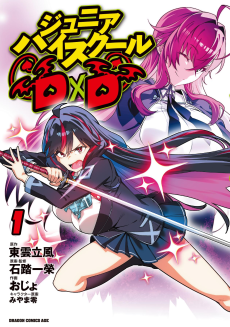 ジュニアハイスクールD×D