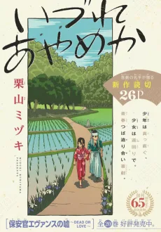 いづれあやめか