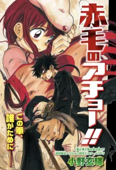 赤毛のアチョー!!