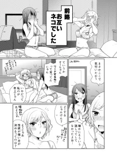 ネコとネコの終わらない夜