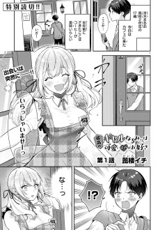 孤高のギャルなるみさんは可愛いものがお好き