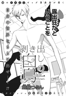 剥き出しの白鳥