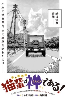 猫輩は神である!