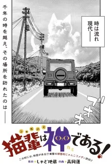 猫輩は神である!