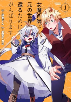 女魔術師さん、元の世界へ還るためにがんばります