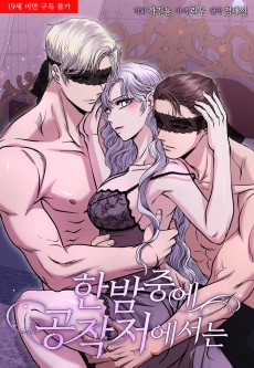 한밤중에 공작저에서는