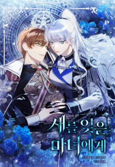 새를 잊은 마녀에게