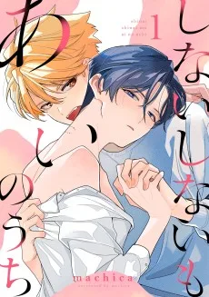 しないしないもあいのうち