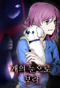 개의 눈으로 보라