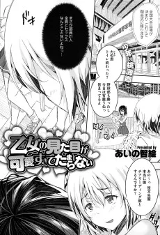 乙女の見た目が可愛すぎてたまらない