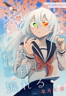 灯る目に流れる