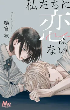 私たちに恋はない