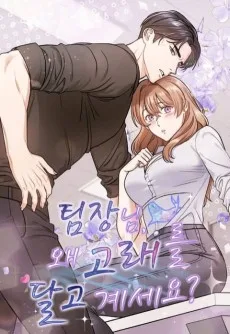 팀장님, 왜 고래를 달고 계세요