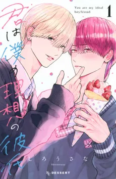 君は僕の理想の彼氏