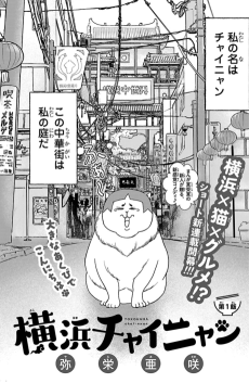 横浜チャイニャン