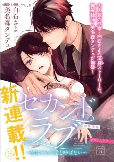 セカンドラブ〜彼はそれを愛と呼ばない〜