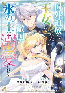 国外追放された王女は、敵国の氷の王に溺愛される