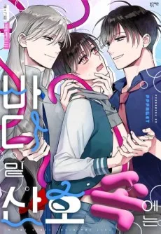 바다 밑 산호 속에는