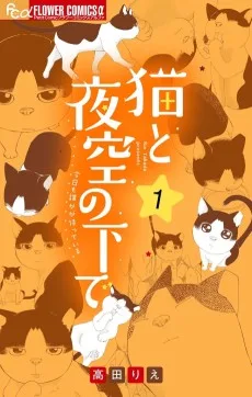 猫と夜空の下で