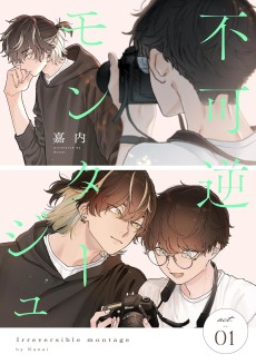 不可逆モンタージュ