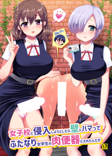 女子校に侵入しようとしたら壁にハマってふたなり女学生の肉便器にされたんだが