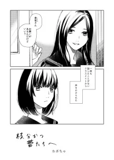 枝分かつ蕾たちへ