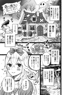 森の魔女に会いに行く