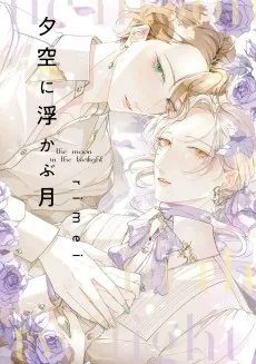 夕空に浮かぶ月