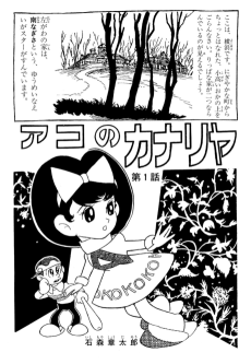 アコのカナリア