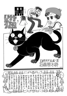 黒猫