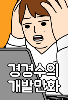 경경수의 개발만화