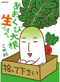 あおくび大根 生ですの。