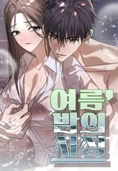 여름, 밤의 사정