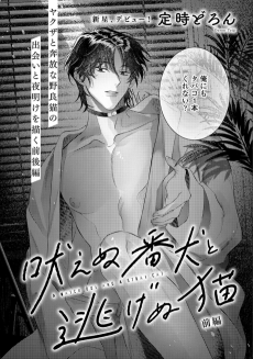 吠えぬ番犬と逃げぬ猫