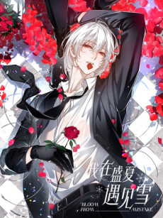 我在盛夏遇见雪