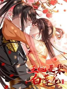王妃是朵白莲花