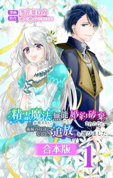 精霊魔法が使えない無能だと婚約破棄されたので、義妹の奴隷になるより追放を選びました