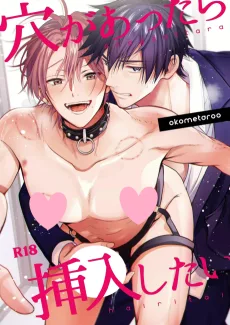 穴があったら挿入したい