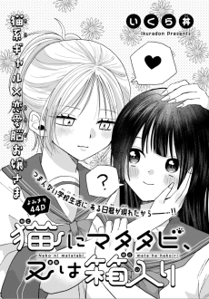 猫にマタタビ、又は箱入り