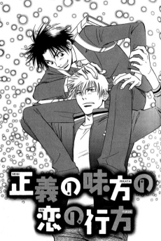 正義の味方の恋の行方